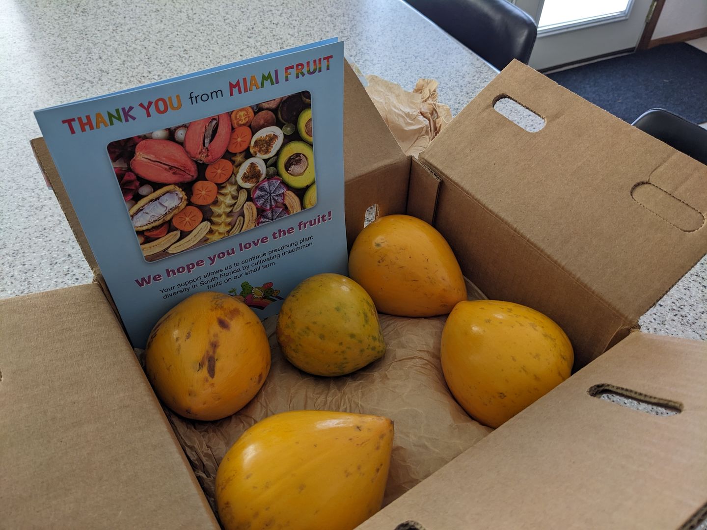Customer photo review of Eggfruit (Canistel) Box