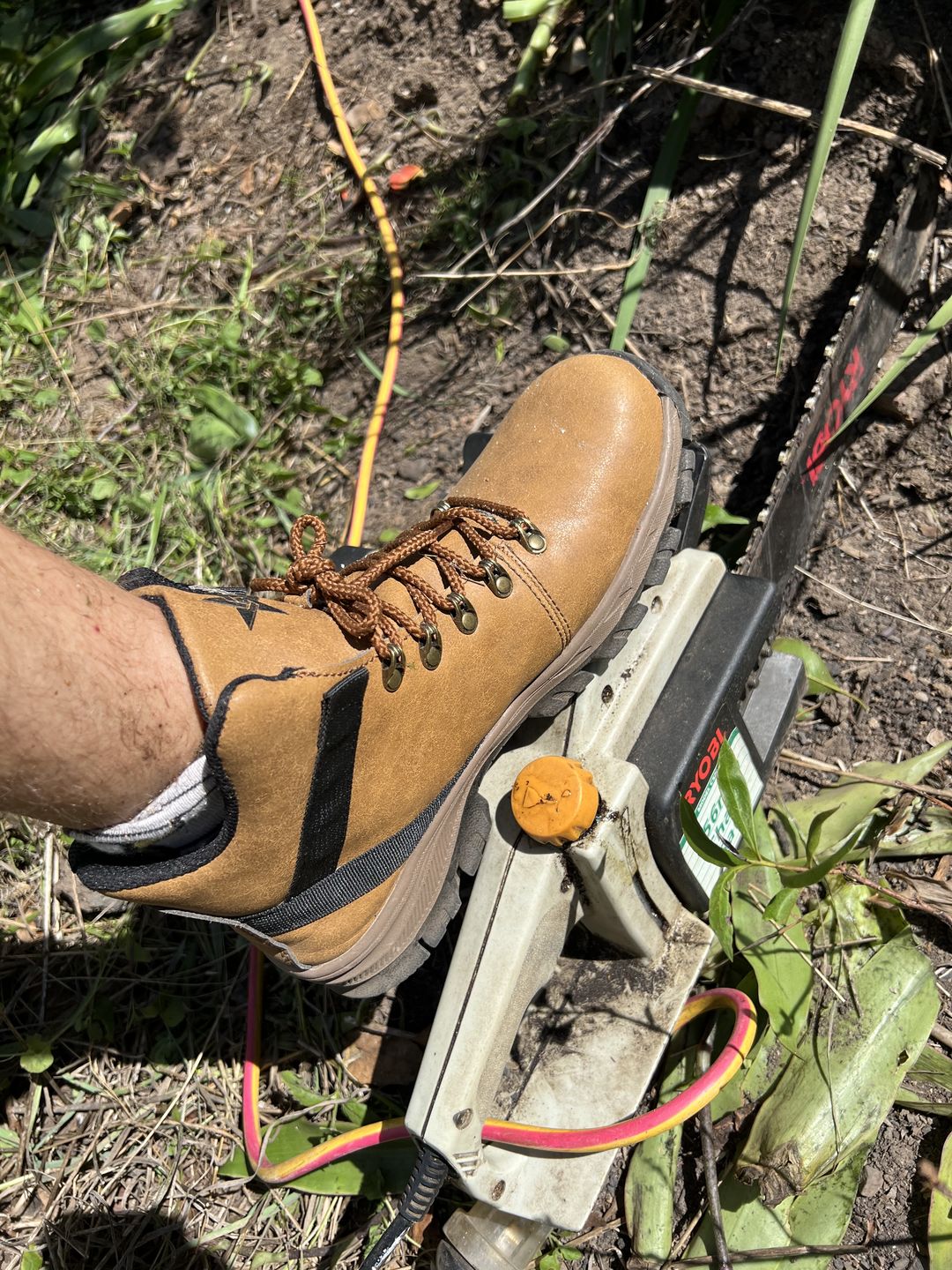 Customer photo review of Star 101 Brown