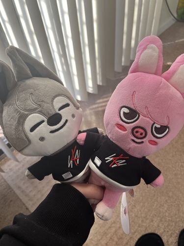 Customer photo review of Official Stray Kids SKZOO Plush (Original Ver)