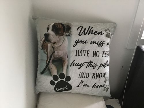 Customer photo review of Personalized Memorial Pet Pillow Have No Fear Hug This Pillow