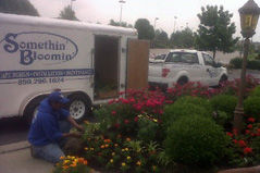Customer photo review of CarbonizPN® Soil Enhancer