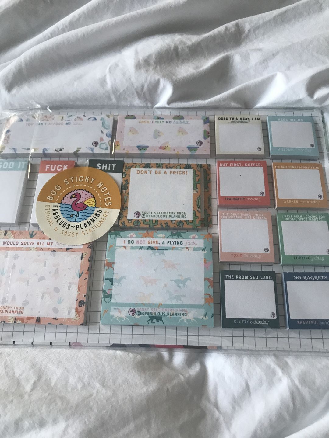 Customer photo review of Sassy Sticky Notes - Explicit Collection - Seconds
