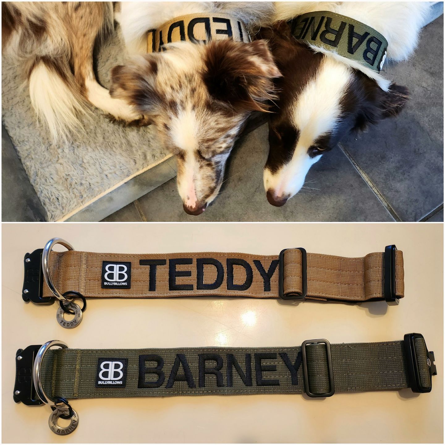 Customer photo review of 5cm Combat® Collar | Rated Clip - NO HANDLE - Military Tan v2.0