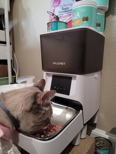 Customer photo review of Tuna & Salmon Flaked Adult Cat Food, 2.8-oz, Case of 12