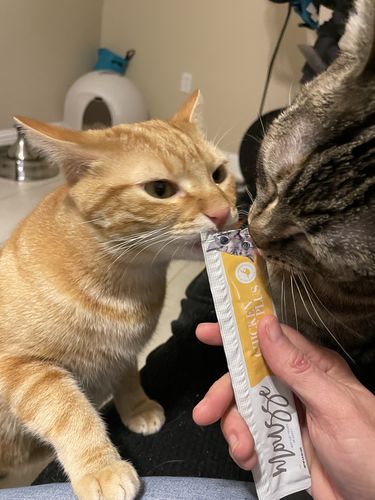 Customer photo review of Tuna & Salmon Cat Treats, Pack of 4