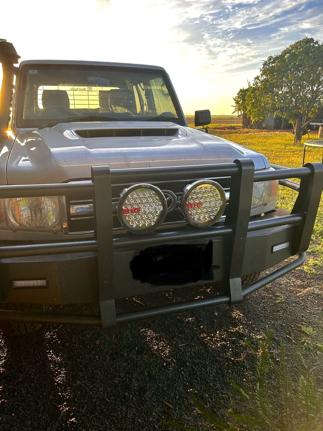 Customer photo review of 9" Inch BRG Starter Kit