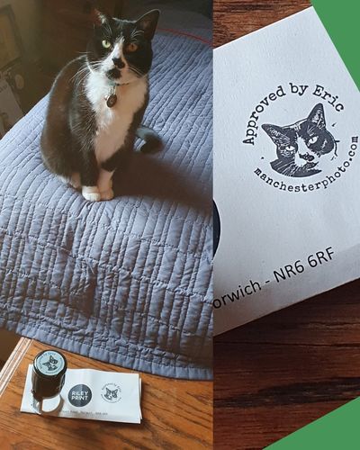 Customer photo review of Self-Inking Face Stamp