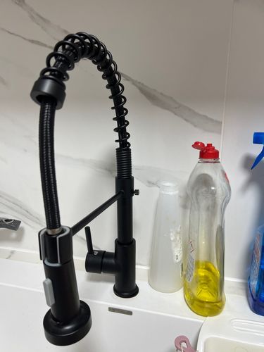 Customer photo review of 360 Faucets™ - Pull Down Spring Spout Kitchen Faucet