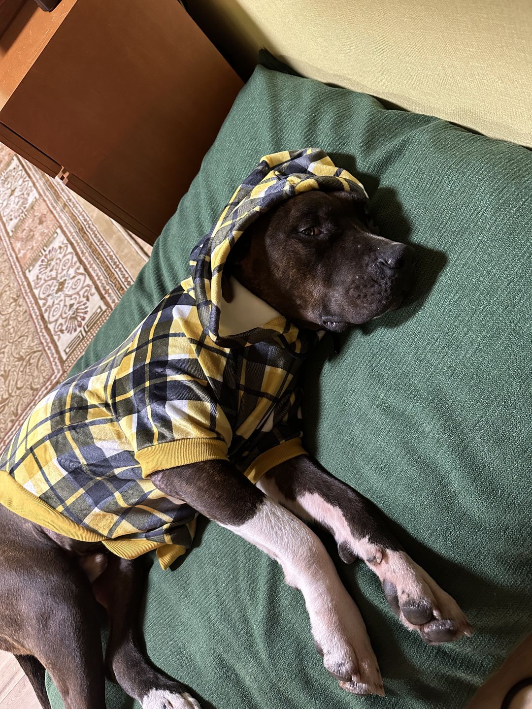 Customer photo review of Yellow Plaid Human Hoodie
