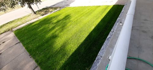 Customer photo review of GCI Turf Spreader Elite Grass Seed