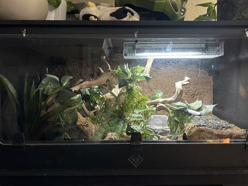 Customer photo review of XT3 (36Lx18Dx18H) - STACKABLE