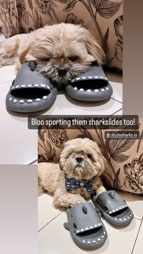 Customer photo review of The Original Shark Slides