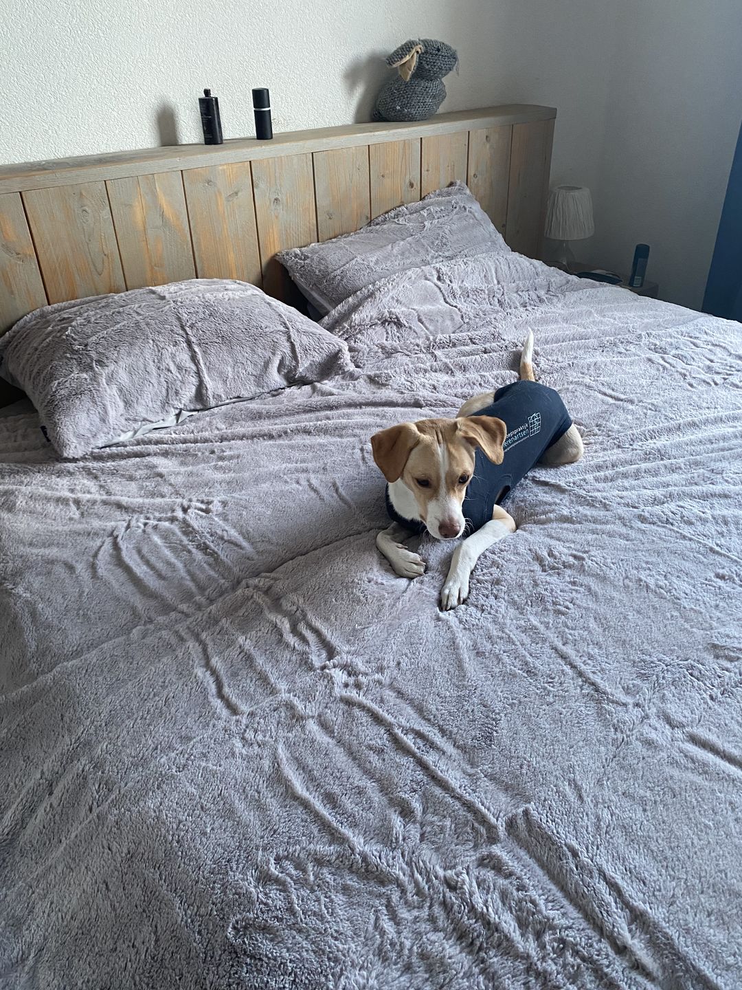 Customer photo review of Dekbedovertrek Teddy Fluffy Grijs