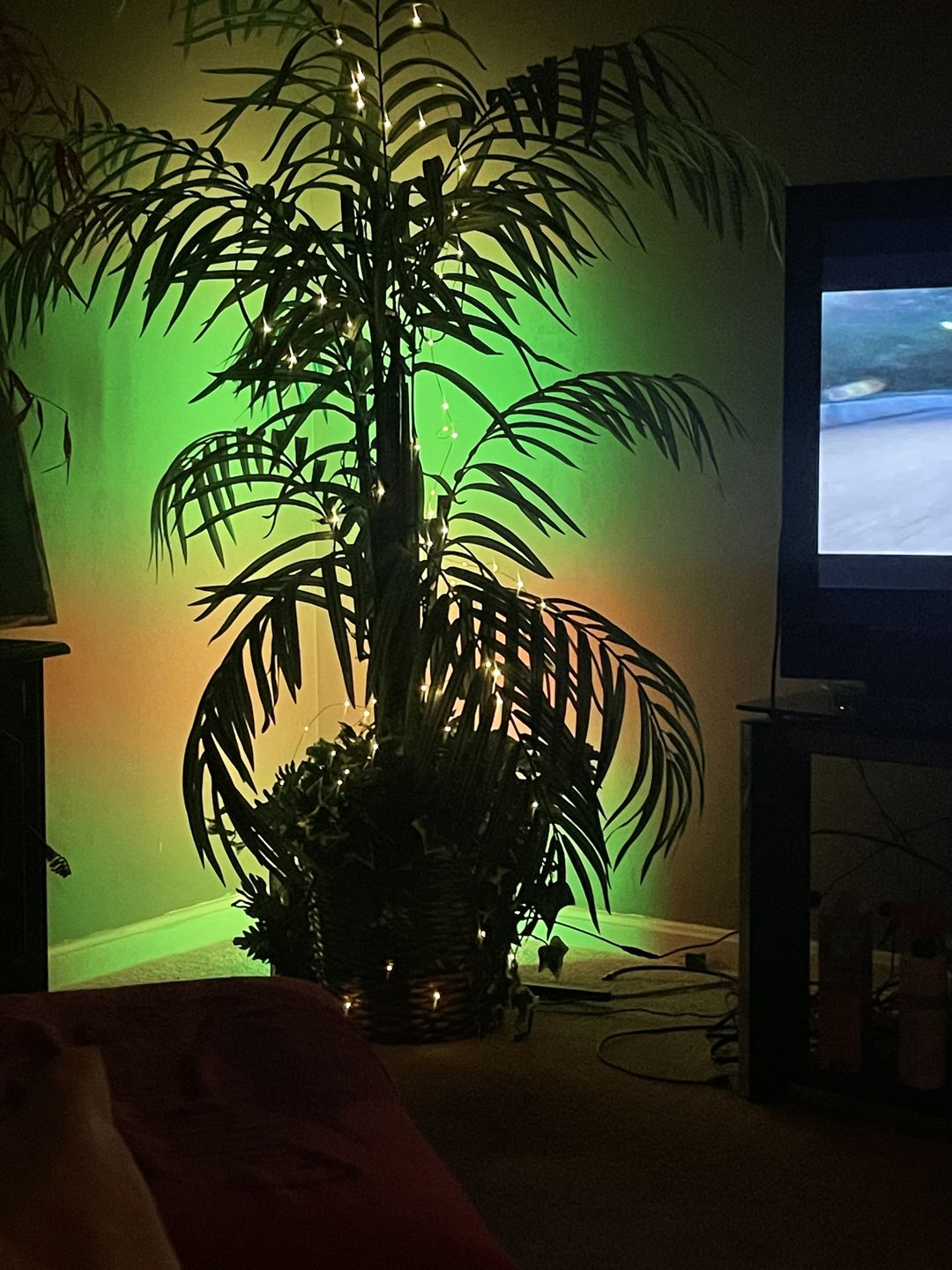 Customer photo review of LED Color Changing Light — LitLamp™