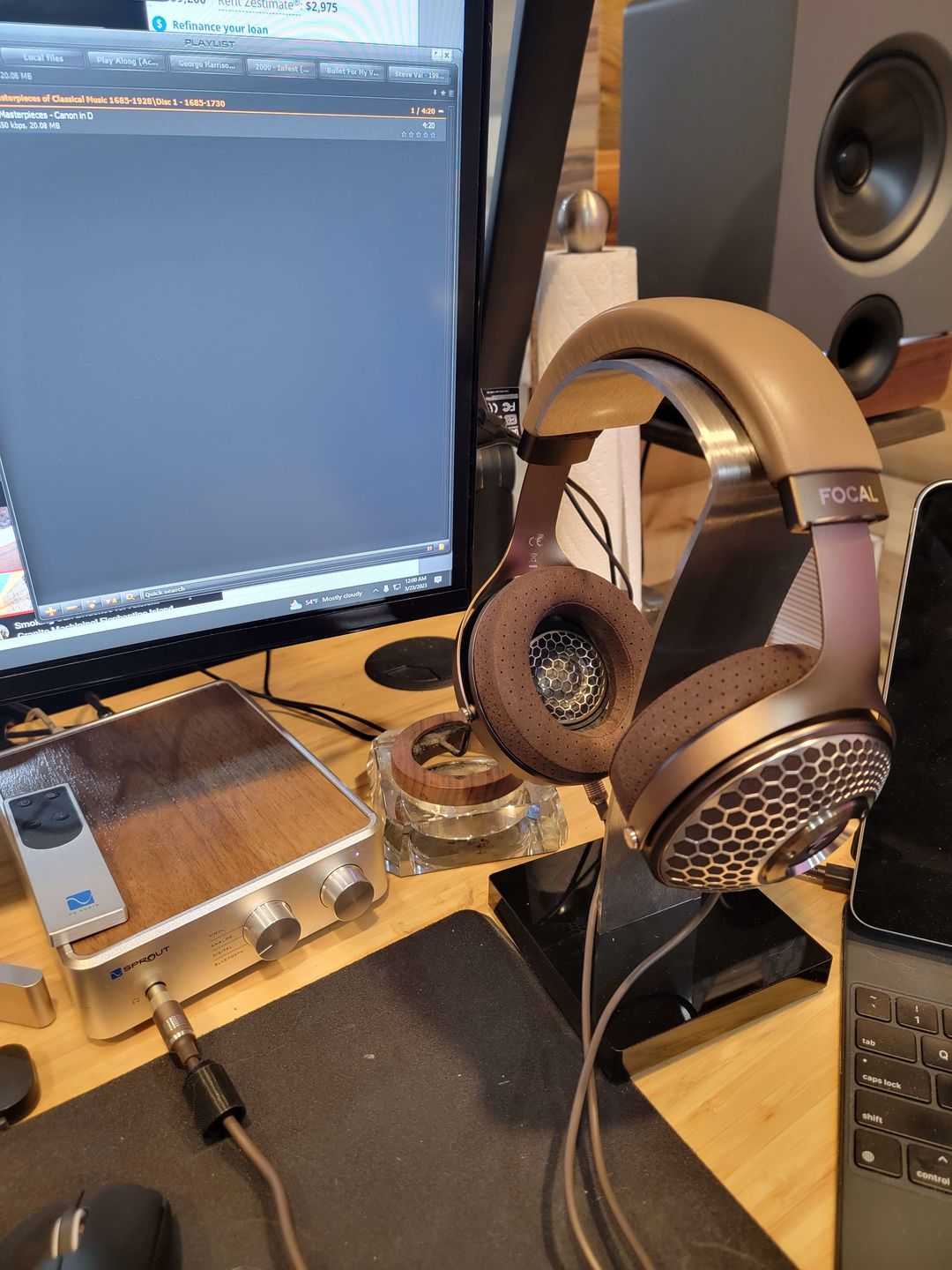 Customer photo review of Focal Clear Mg Headphones