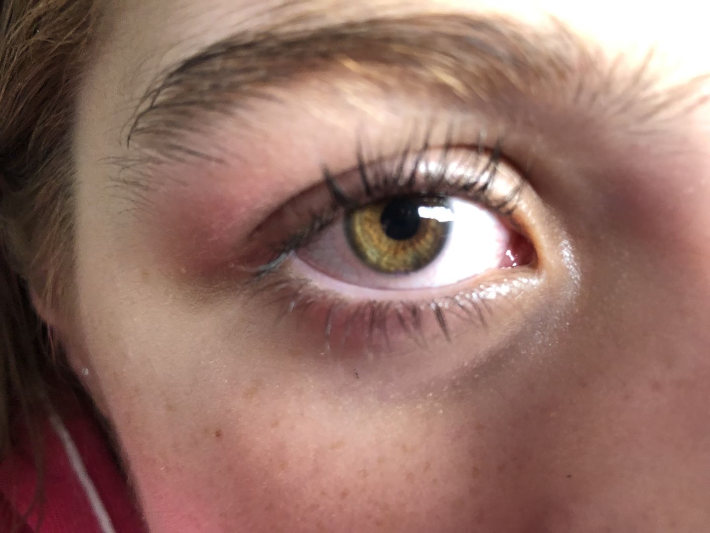 Customer photo review of Siesta Crystal Iris Blue