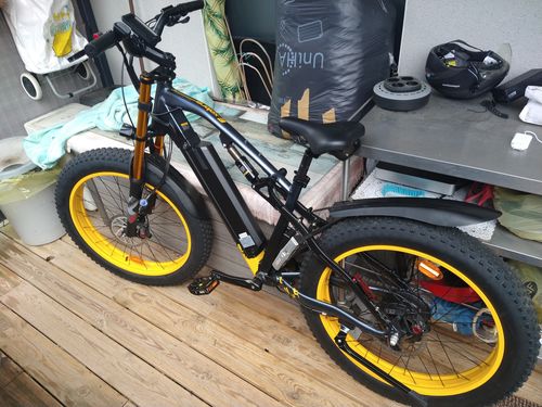 Customer photo review of Lankeleisi RV700 1000W 26" Fat Bike Dual Crown Fork E-Mountain Bike 16Ah 130km 30km/h