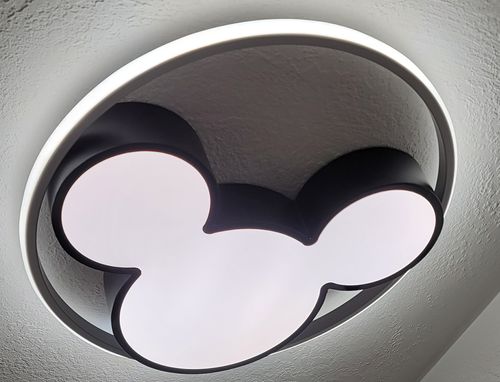 Customer photo review of Dimmable Modern Mickey Design LED Flush Ceiling Light