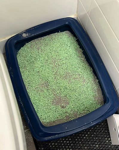 Customer photo review of Michu Natural Clumping Tofu Cat Litter 2.5kg/6L