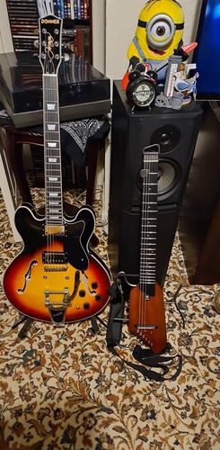 Customer photo review of Donner HUSH-I Headless Silent Guitar Kit