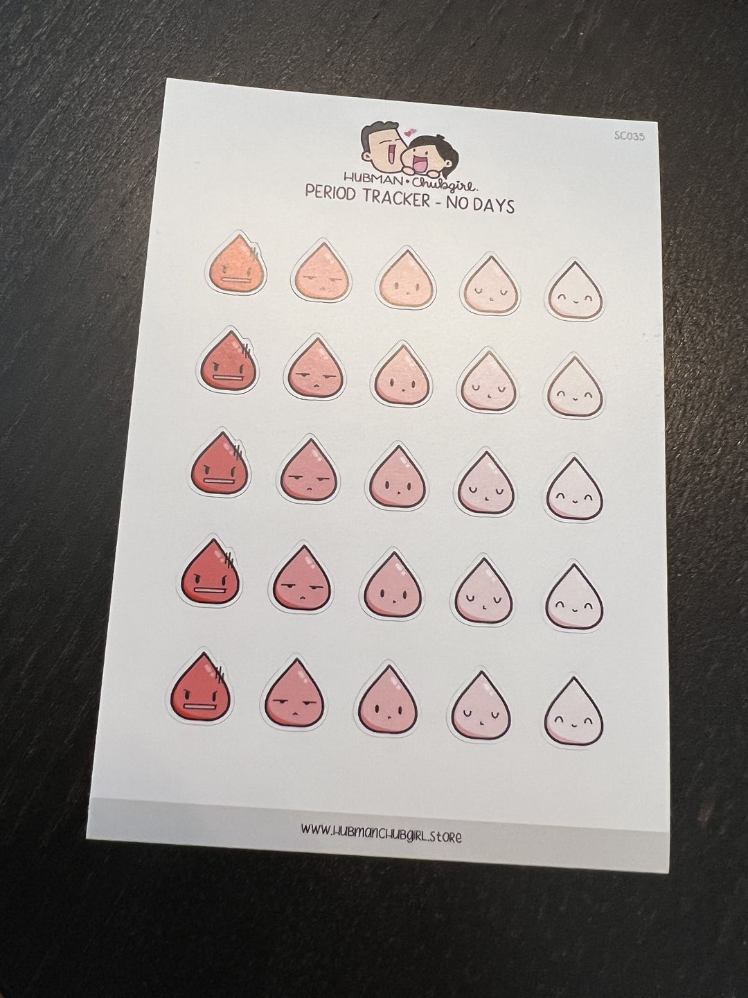 Customer photo review of Period Tracker Planner Stickers - No days