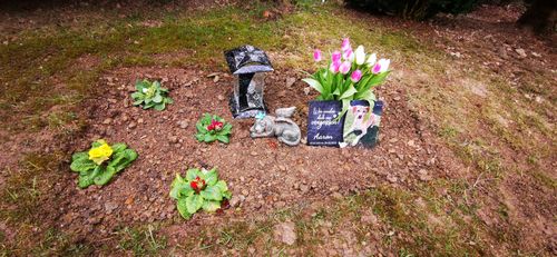 Customer photo review of Hunde Gedenktafel mit Foto & Spruch (UV- und wetterbeständig)