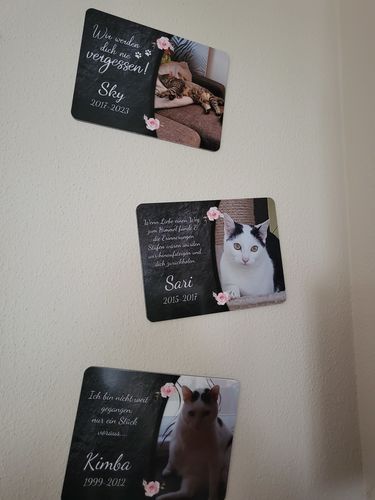Customer photo review of Katzen Gedenktafel mit Foto & Spruch