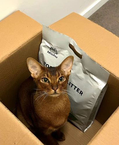 Customer photo review of Michu Natural Clumping Tofu Cat Litter 2.5kg/6L