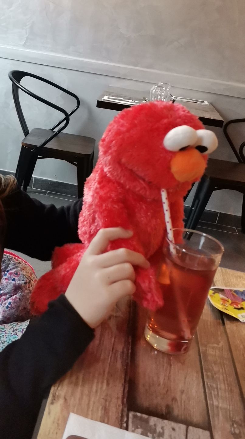 Customer photo review of Elmo Marionnette Sesame Street