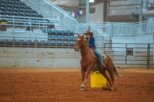 Customer photo review of OptiWize Collagen +Plus Horse Joint Supplement