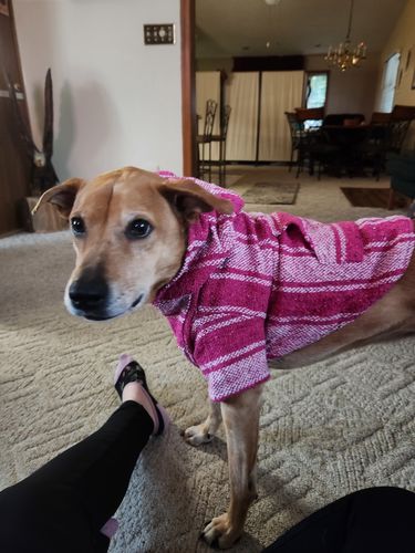 Customer photo review of Playa Poncho - Surprise Color