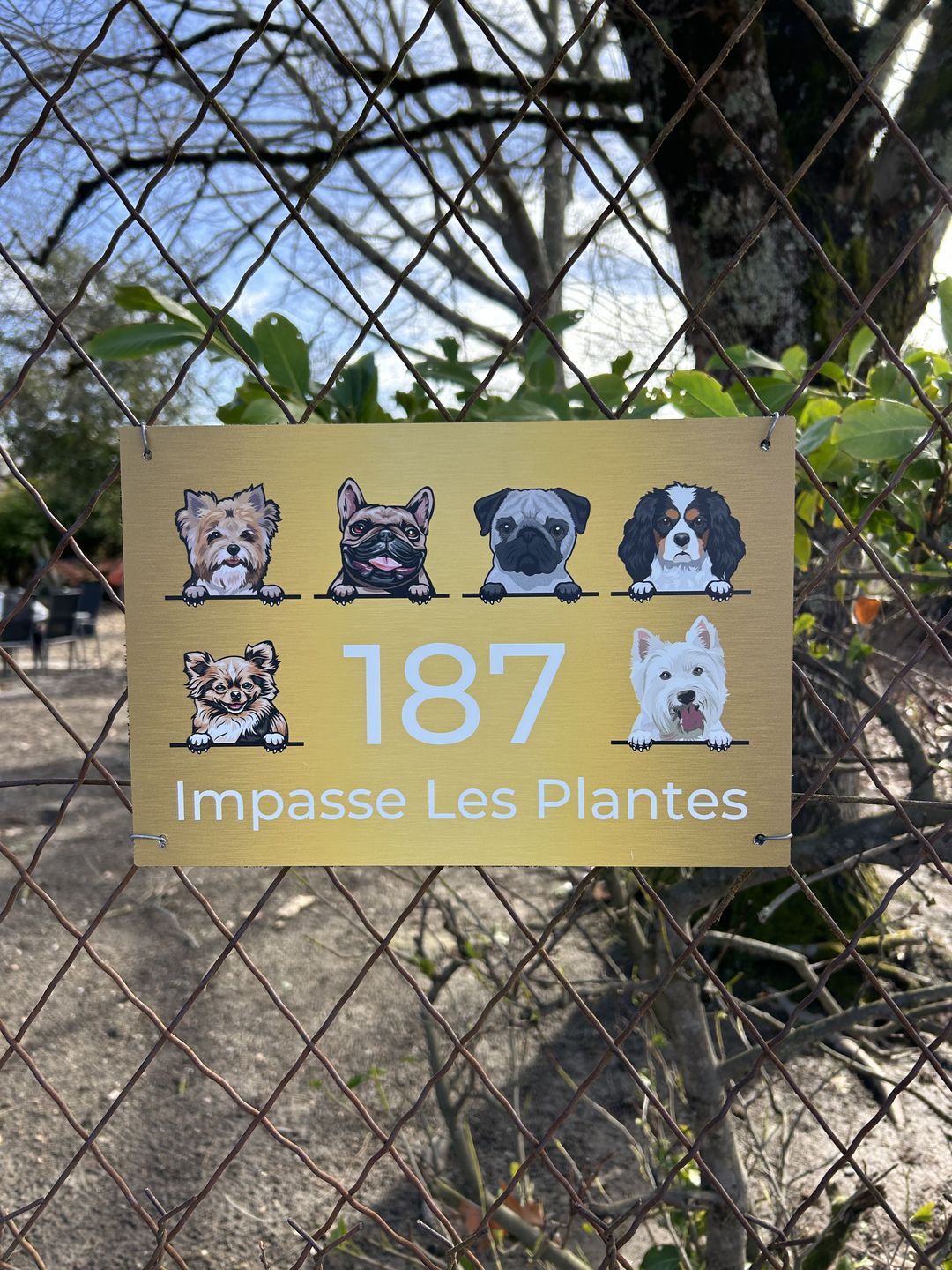Customer photo review of Chiens curieux et numéro de maison - Plaque de porte personnalisée