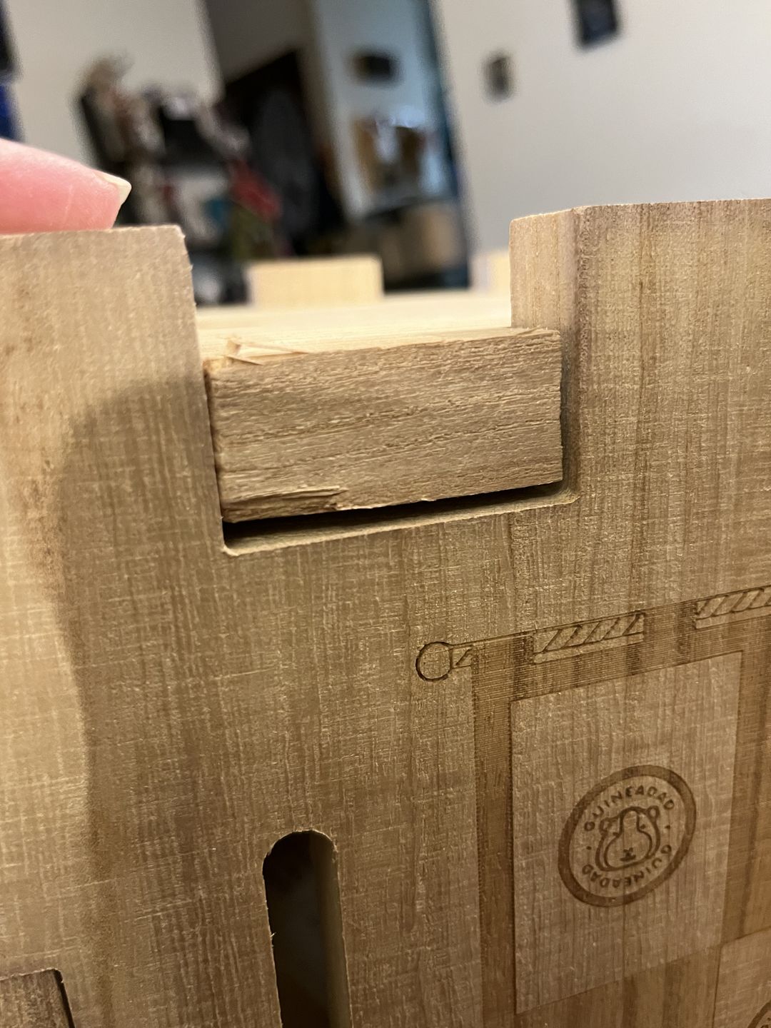 Customer photo review of GuineaDad Wooden Castle