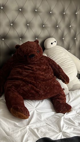 Customer photo review of SKOGGY BEAR