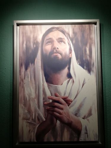 Customer photo review of Foto lienzo Horizontal