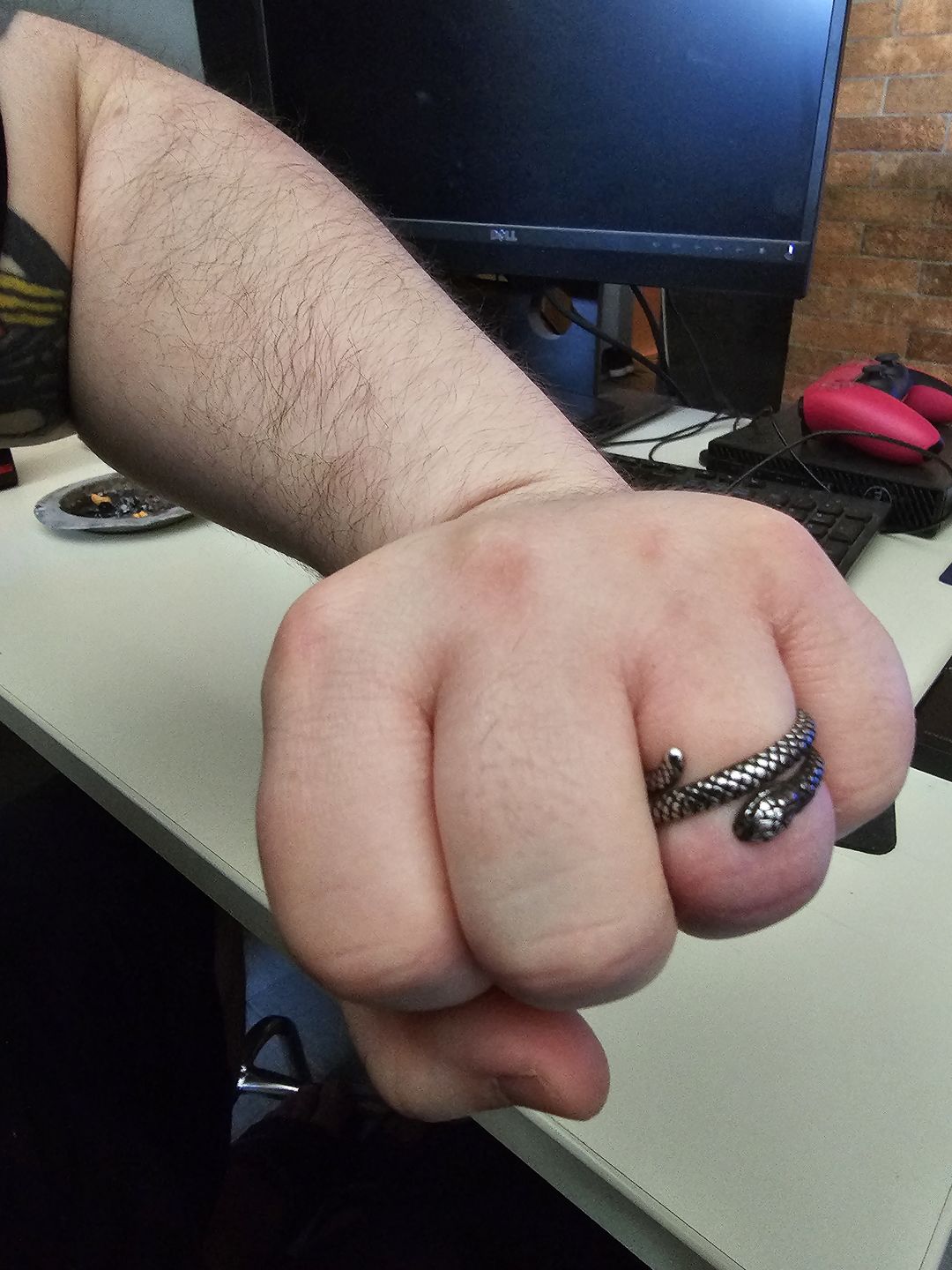 Customer photo review of SNAKE.
