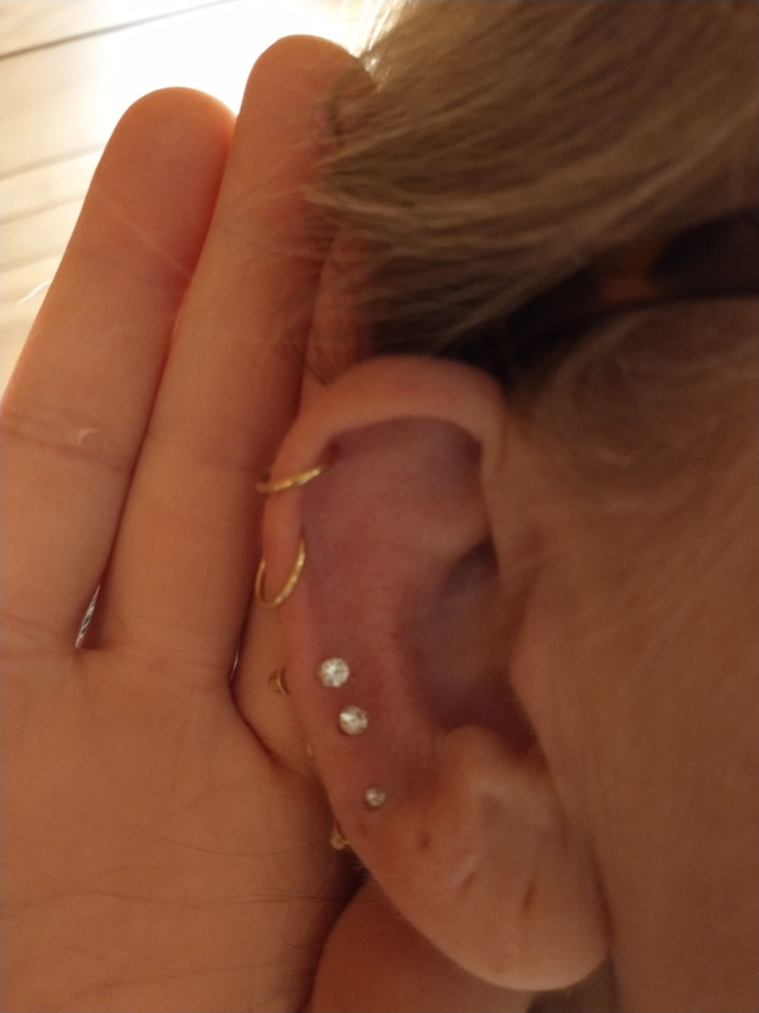 Customer photo review of 14K Yellow Gold Classic Round Stud Earrings