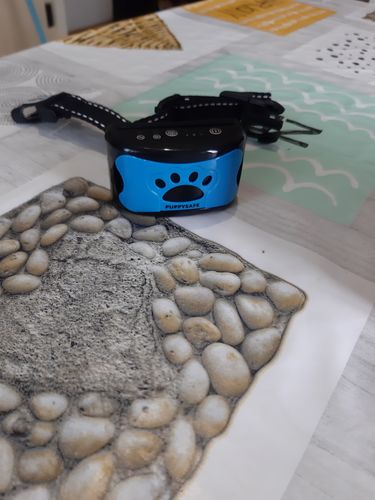 Customer photo review of Collier Anti Aboiement PuppySafe