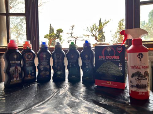 Customer photo review of MIRACLE PACK CB® (tutti gli 8 prodotti top di gamma)