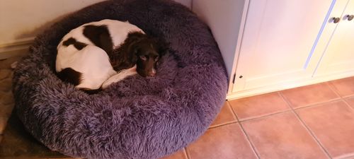 Customer photo review of CalmBed - Motverkar stress & hjälper mot ångest