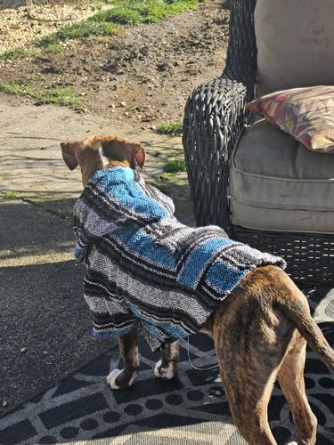 Customer photo review of Playa Poncho - Surprise Color