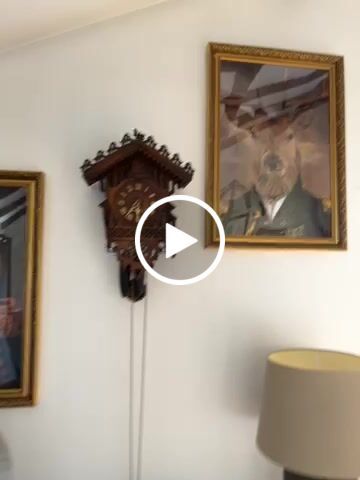 Customer video review of The First Lieutenant: Custom Pet Portrait