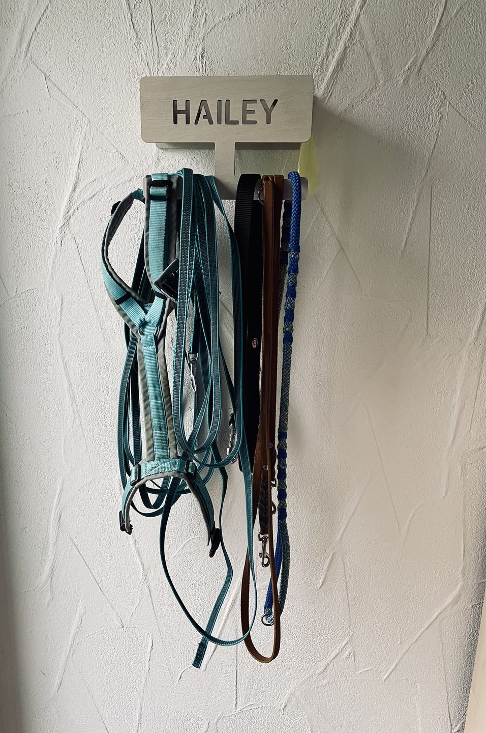 Customer photo review of PERSONALISIERUNG: Hundegarderobe L