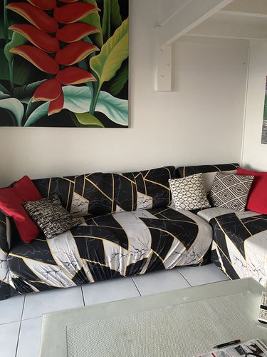 Customer photo review of Housse De Canapé d'Angle Extensibles - Motif Galium