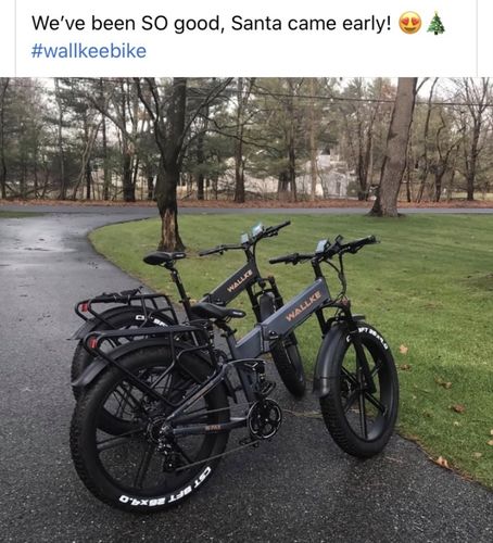 Customer photo review of Wallke H6 Dual Battery Step-Thru Folding Electric Bike