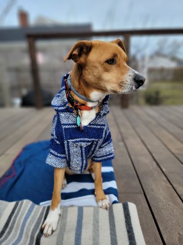 Customer photo review of Playa Poncho - Surprise Color