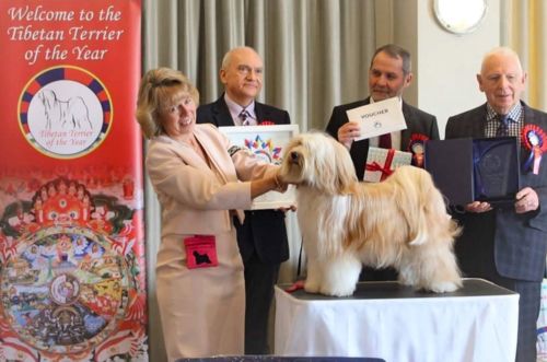 Customer photo review of I'm So Silky Shampoo