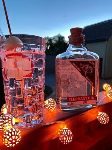 Customer photo review of Elephant London Dry Gin 500ml