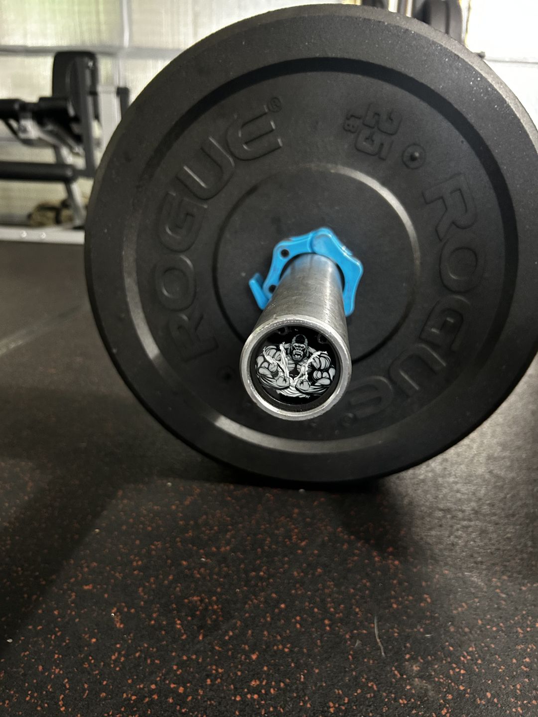 Customer photo review of Resized end caps