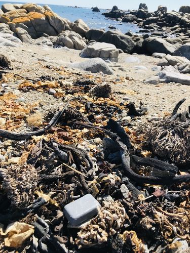 Customer photo review of Facial Cleansing Bar